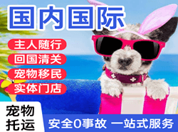 海西花土沟航空快递国际宠物托运 【国